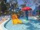 Der Fiberglas-Wasser-Pilz-Brunnen, der für Kinder besonders angefertigt wird, sprühen Park