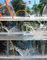 Spray-Zonen-Grundswimmingpool-Plattform-Jet-Kinderspritzen-Zone Toy Fountain