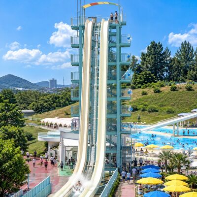 Qualität Hochgeschwindigkeits-Wasserrutsche Glasfaser Steiler Fall Mehrspur-Thrill-Ride für Wasserparks Individuelles Design Fabrik