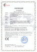 China Guangdong Dapeng Amusement Technology Co., Ltd. zertifizierungen
