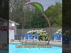 OEM-Wasserpark-Ausrüstung, Kaktus Spray Wasser-Splash Pad Pool Spielzeug